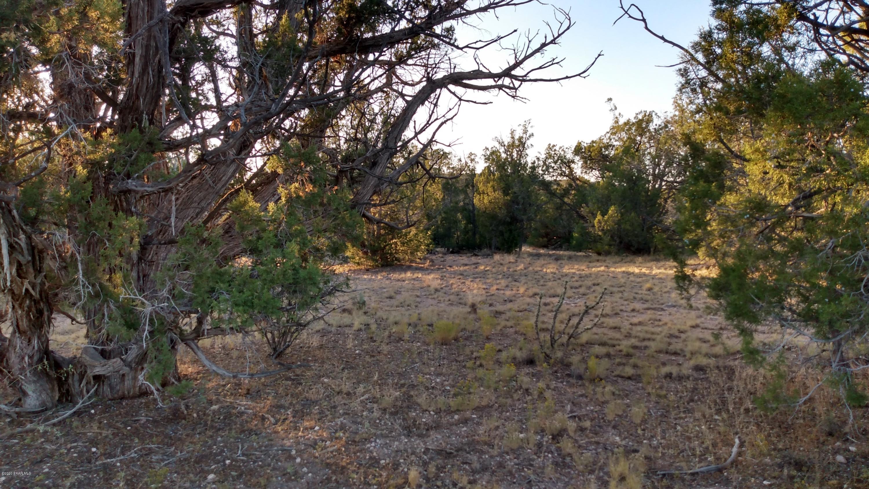 Lot 89 Ricks Road Seligman, AZ 86337 - Photo 8 of 14 mid property N View