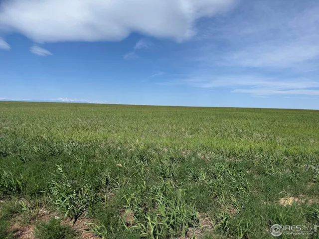 $125,000 | 1 Tbd Ffd25-0005 Lota Co Road 15, Carr, CO 80612