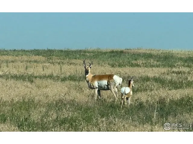 $125,000 | 1 Tbd Ffd25-0005 Lota Co Road 15, Carr, CO 80612