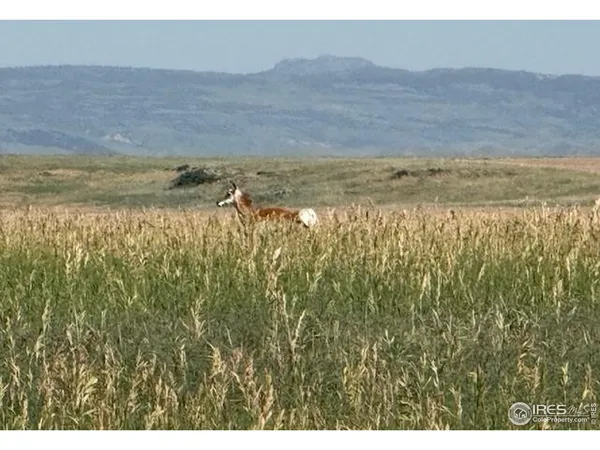 $125,000 | 1 Tbd Ffd25-0005 Lota Co Road 15, Carr, CO 80612