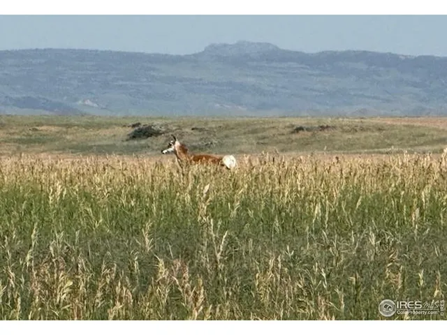 $125,000 | 1 Tbd Ffd25-0005 Lota Co Road 15, Carr, CO 80612