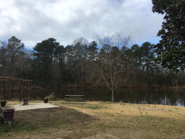 502 Augusta Road Edgefield, SC 29824 - Photo 11 of 14