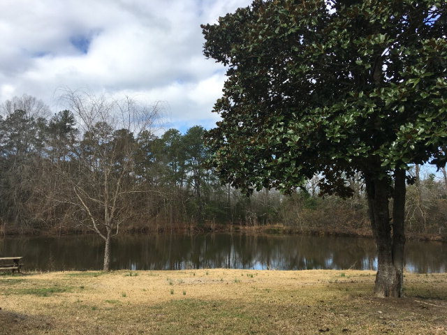 502 Augusta Road Edgefield, SC 29824 - Photo 2 of 14