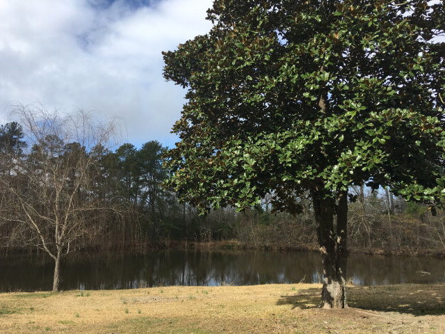 502 Augusta Road Edgefield, SC 29824 - Photo 10 of 14