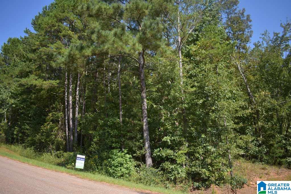 3348 County Road 7 Wedowee, AL 36278 - Photo 14 of 14