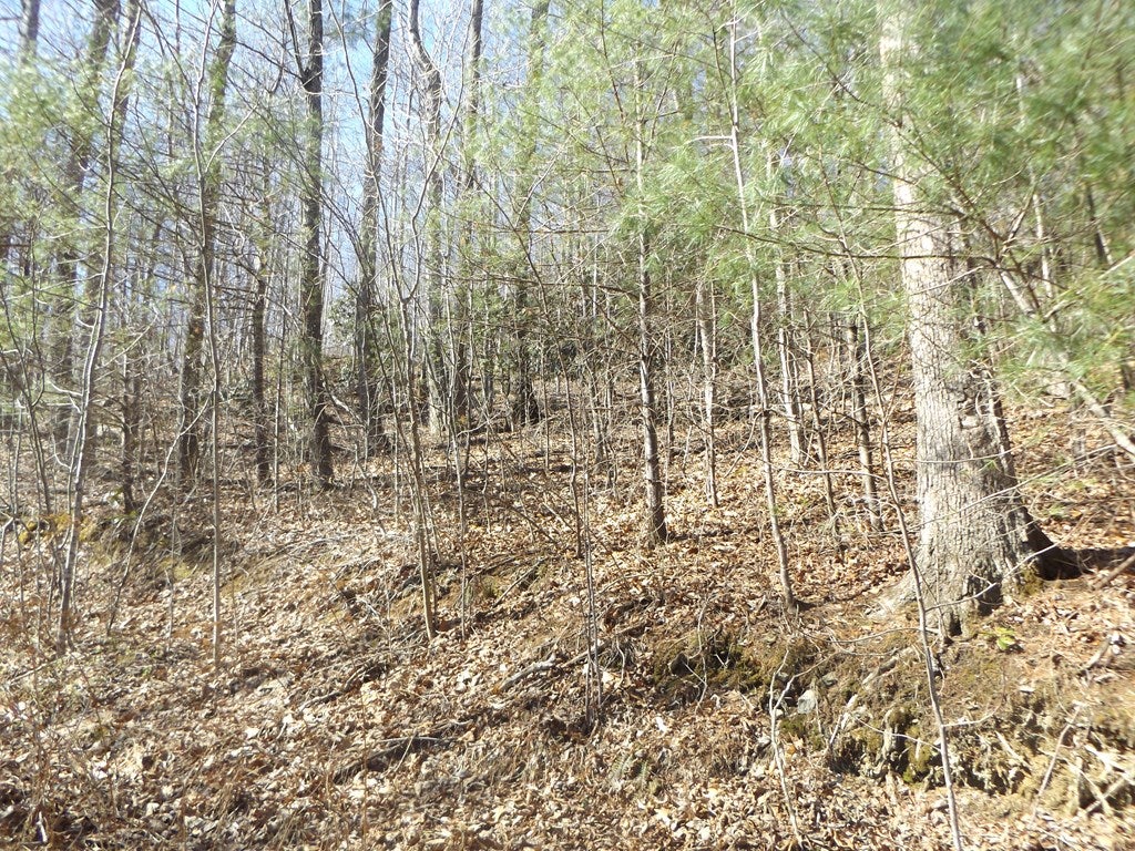 Tbd Pole Bridge Road, Unit J H I F G Stuart, VA 24171 - Photo 11 of 15 Gallery Image 11