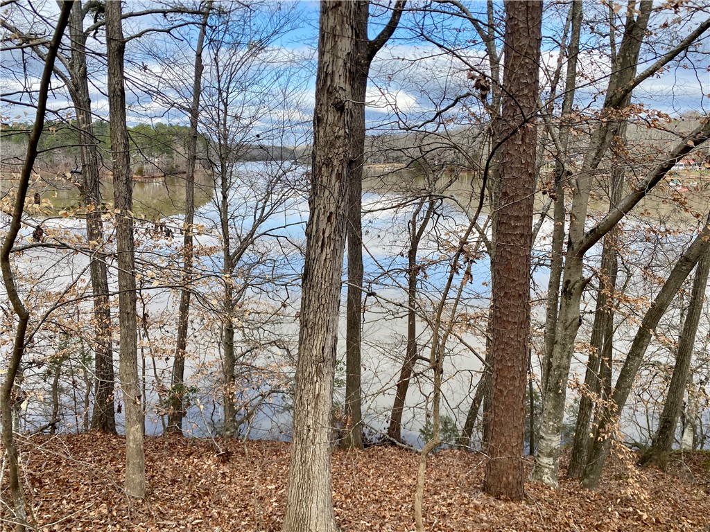 Tr6 Pierce And Amy Road Iva, SC 29655 - Photo 11 of 21 This serene property offers tranquil lake views through a natural tree canopy.
