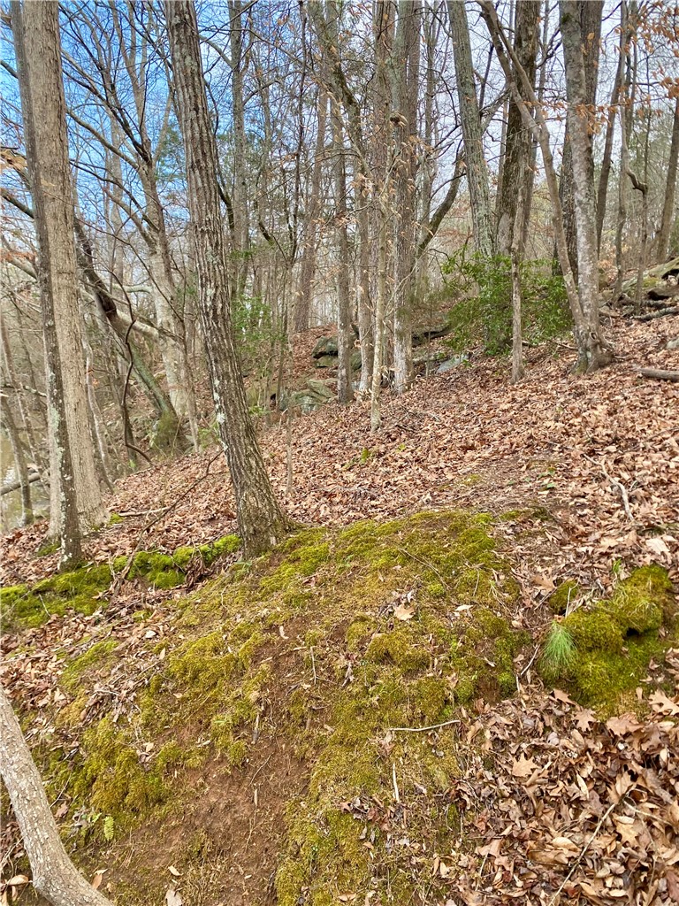 Tr6 Pierce And Amy Road Iva, SC 29655 - Photo 12 of 21 This scenic wooded lot offers natural beauty and a tranquil environment.