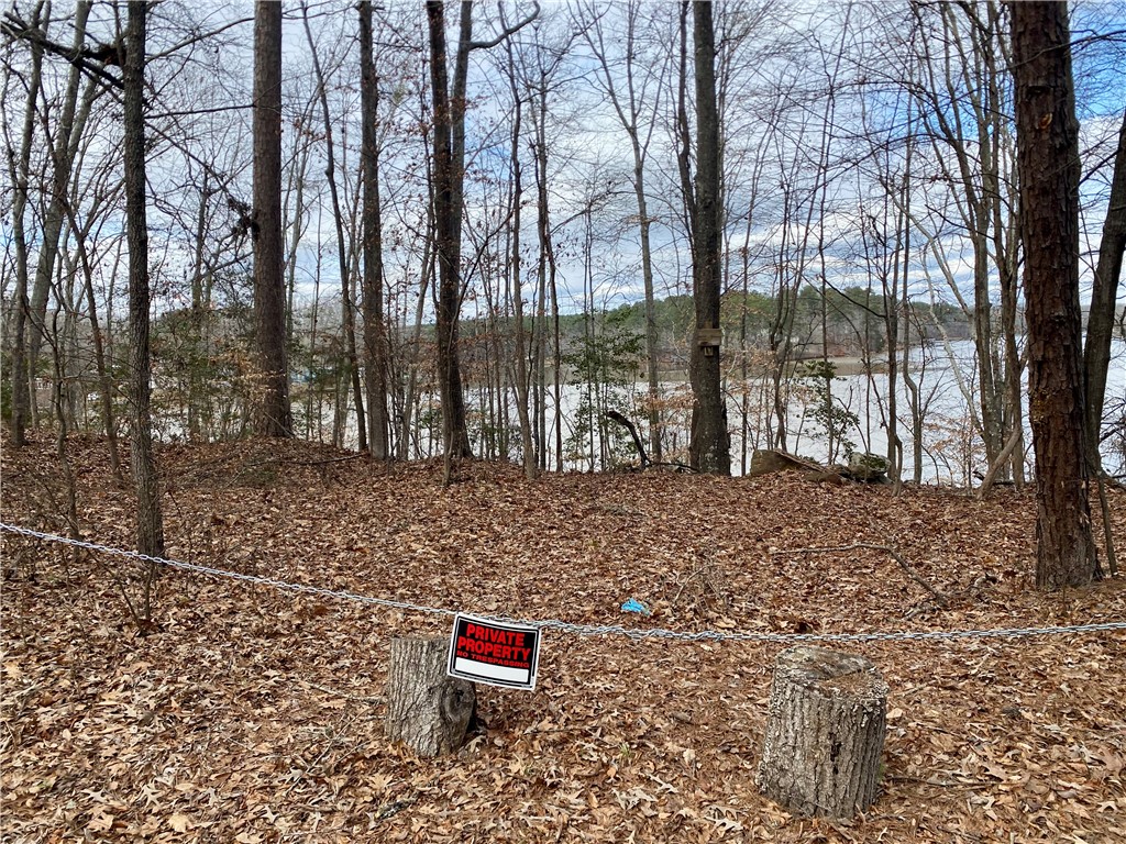 Tr6 Pierce And Amy Road Iva, SC 29655 - Photo 16 of 21 This secluded lot offers peaceful forest surroundings and scenic water views.