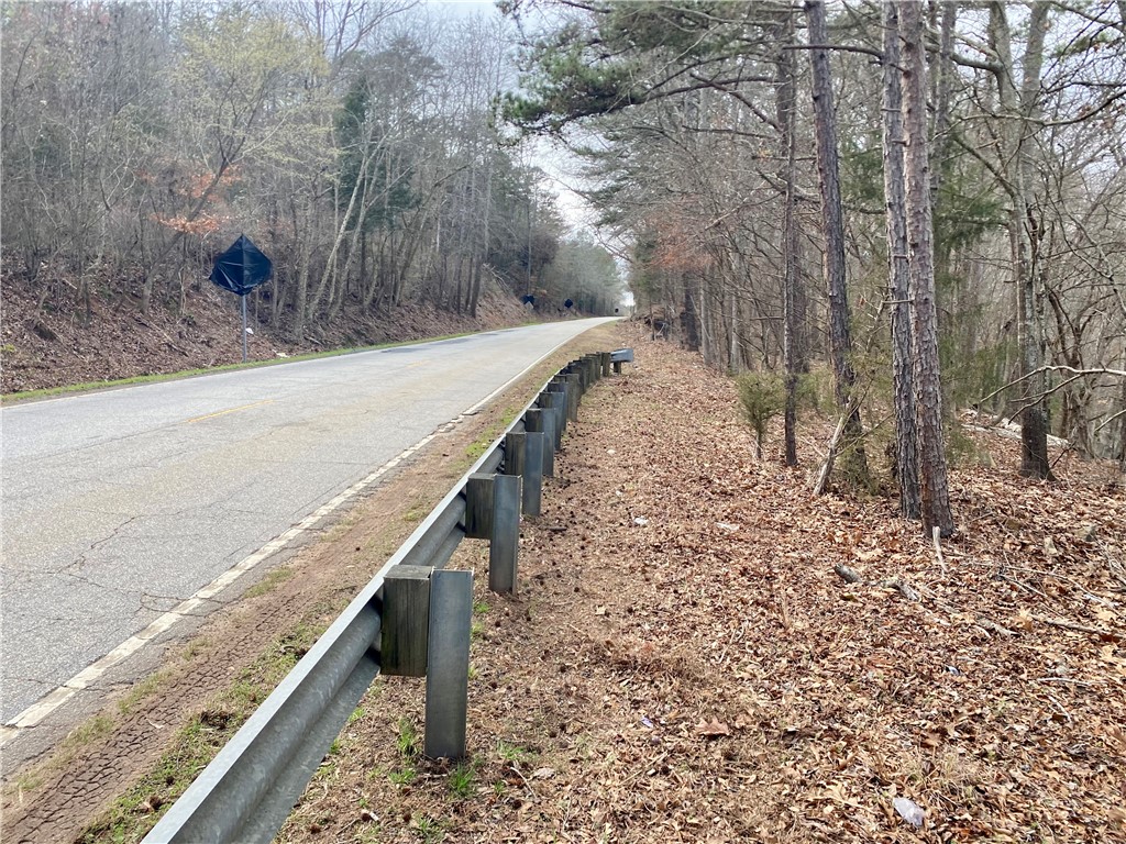 Tr6 Pierce And Amy Road Iva, SC 29655 - Photo 17 of 21 This scenic lot features a paved road with natural surroundings.