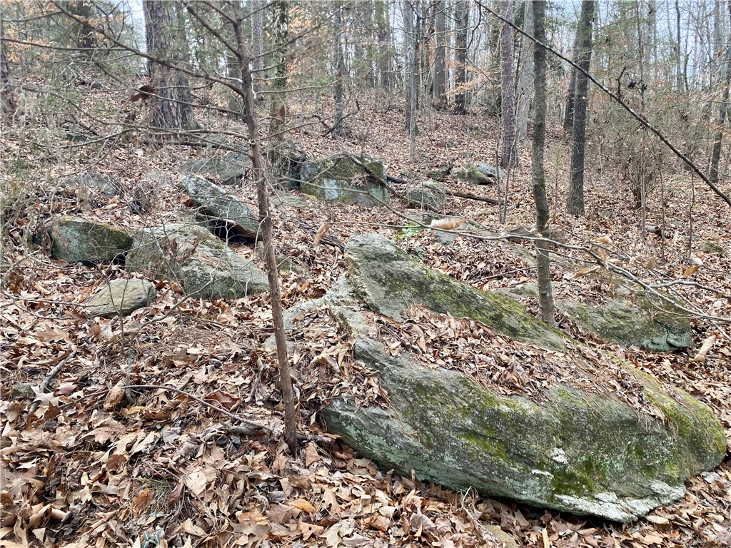 Tr6 Pierce And Amy Road Iva, SC 29655 - Photo 18 of 21 This secluded wooded lot offers a tranquil setting with natural rock formations.