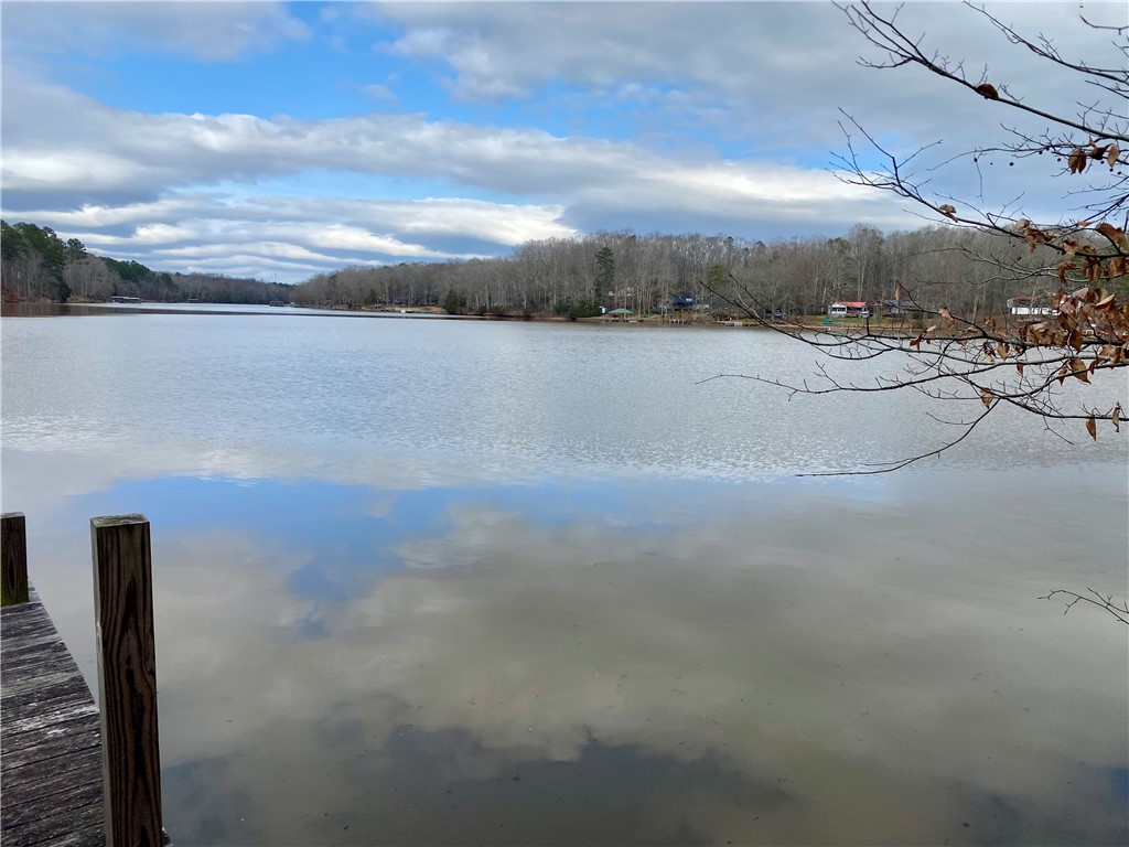 Tr6 Pierce And Amy Road Iva, SC 29655 - Photo 7 of 21 This tranquil waterfront setting offers serene lake views and a private dock.