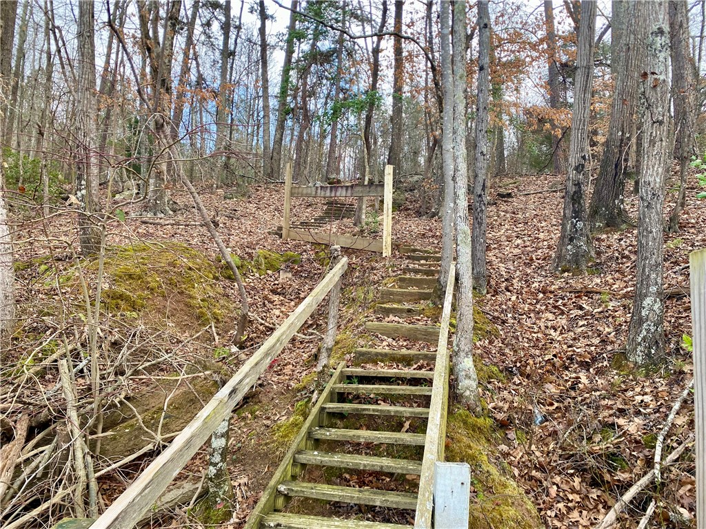 Tr6 Pierce And Amy Road Iva, SC 29655 - Photo 8 of 21 Navigate a wooded lot with natural beauty.
