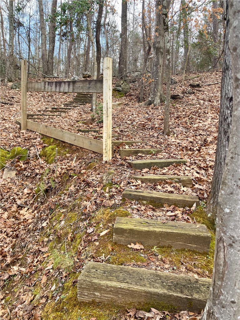 Tr6 Pierce And Amy Road Iva, SC 29655 - Photo 9 of 21 This tranquil woodland setting features a charming path of timber steps, perfect for a peaceful stroll.
