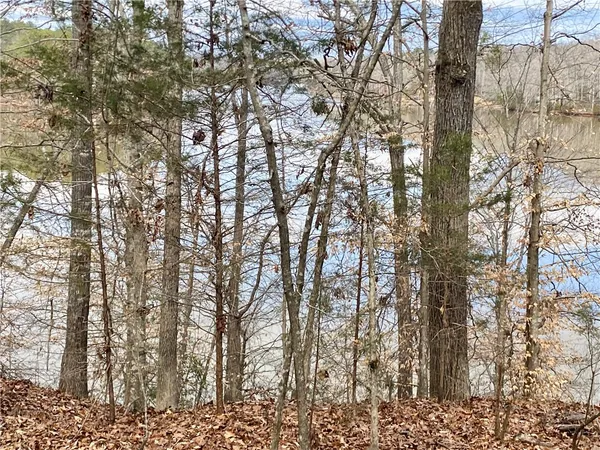 $299,900 | Tr6 Pierce And Amy Road, Iva, SC 29655