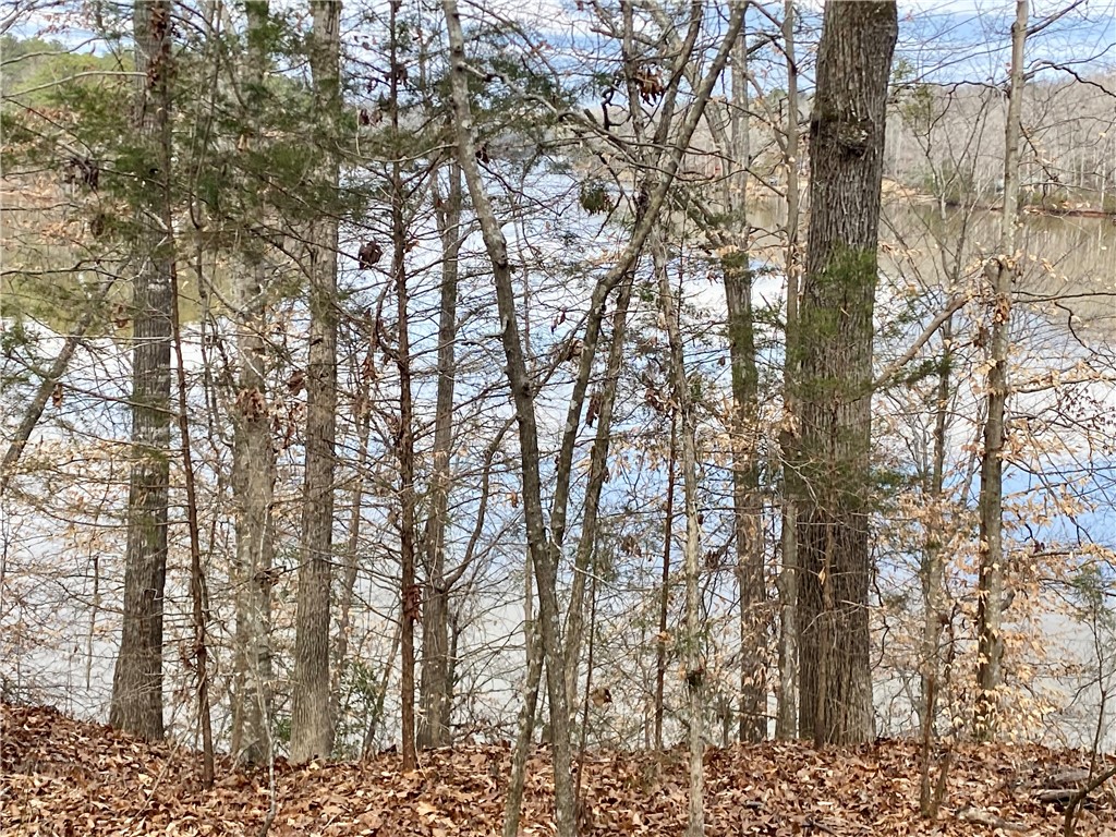 Tr6 Pierce And Amy Road Iva, SC 29655 - Photo 10 of 21 This tranquil waterfront lot provides a peaceful setting for your future home.