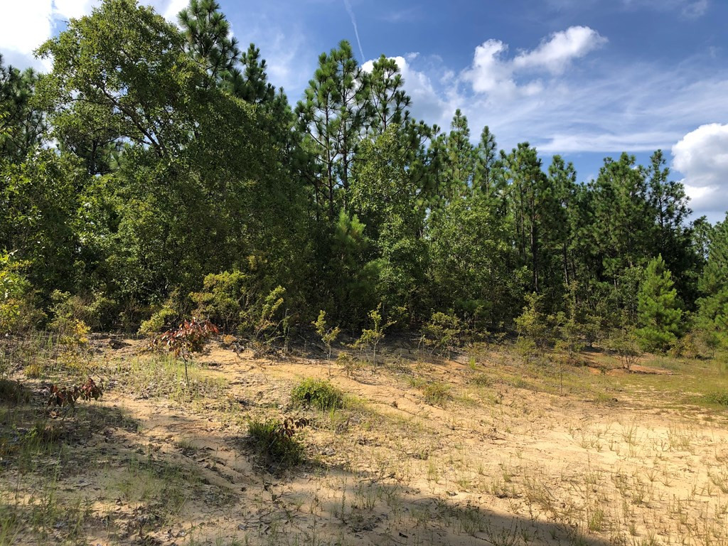335 Outing Club Road Aiken, SC 29801 - Photo 5 of 25