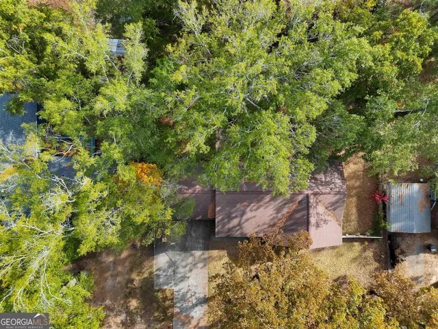 a view of a yard with plants and trees