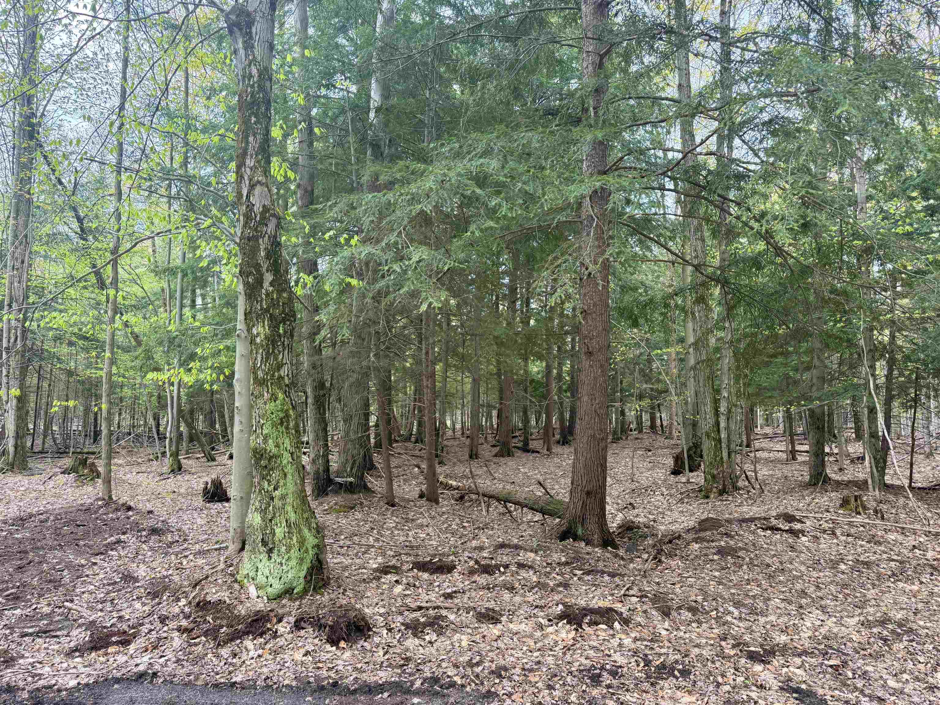 6639 Fall Road Grawn, MI 49637 - Photo 14 of 24