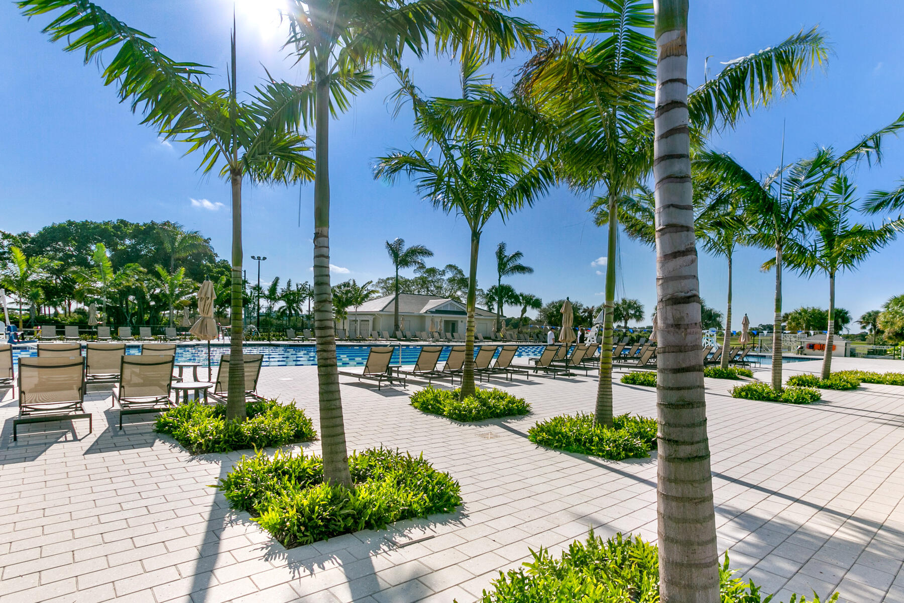 336 Golfview Road, Unit 719 North Palm Beach, FL 33408 - Photo 56 of 60 Pool Deck