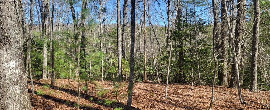 2 Mull Road Morganton, GA 30560 - Photo 14 of 34 Gallery Image 14