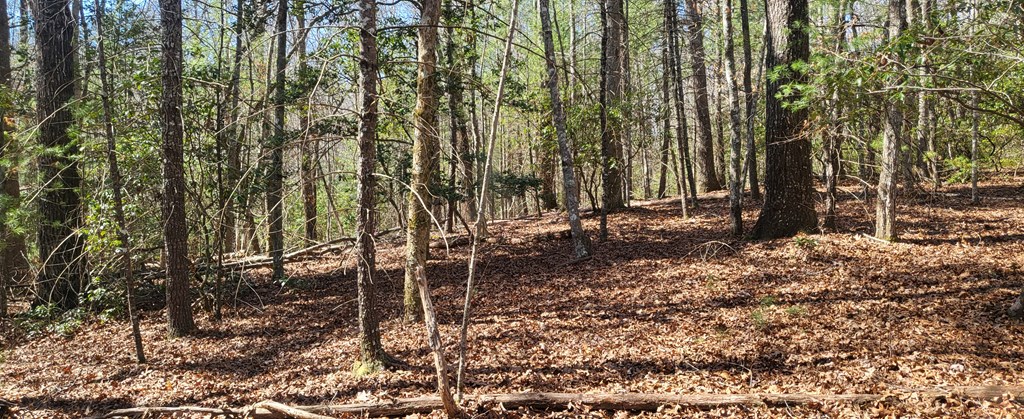 2 Mull Road Morganton, GA 30560 - Photo 15 of 34 Gallery Image 15