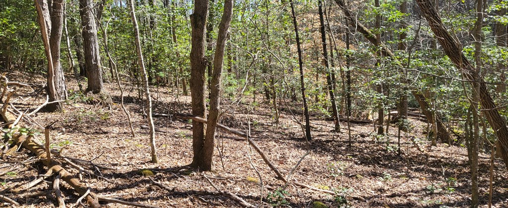 2 Mull Road Morganton, GA 30560 - Photo 19 of 34 Gallery Image 19