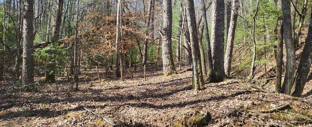 2 Mull Road Morganton, GA 30560 - Photo 20 of 34 Gallery Image 20