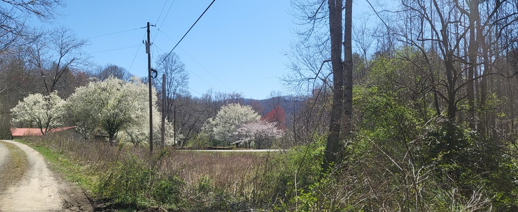 2 Mull Road Morganton, GA 30560 - Photo 2 of 34 Gallery Image 2