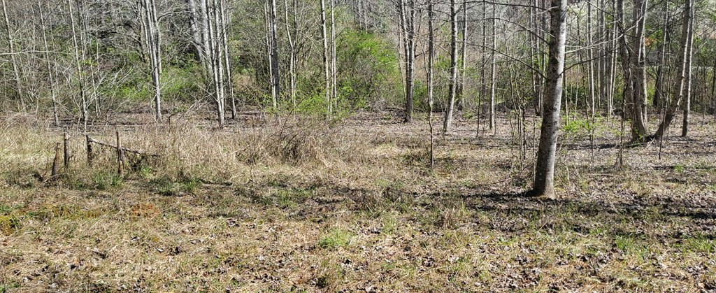 2 Mull Road Morganton, GA 30560 - Photo 23 of 34 Gallery Image 23