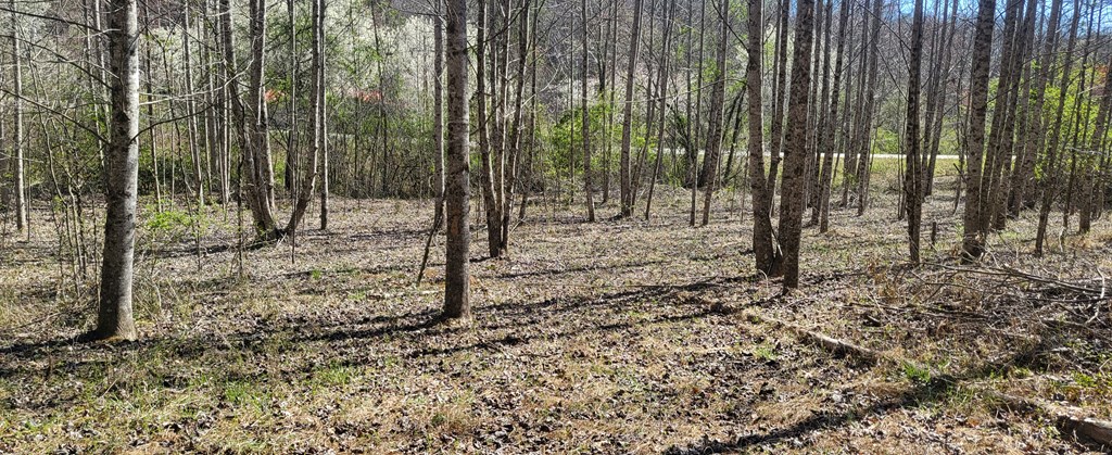 2 Mull Road Morganton, GA 30560 - Photo 24 of 34 Gallery Image 24