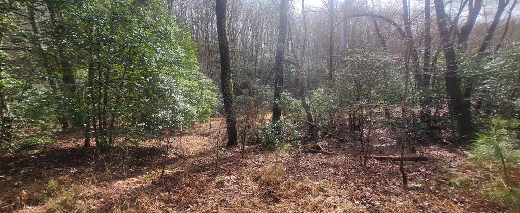 2 Mull Road Morganton, GA 30560 - Photo 25 of 34 Gallery Image 25