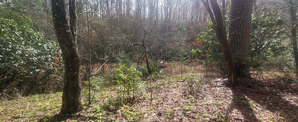 2 Mull Road Morganton, GA 30560 - Photo 26 of 34 Gallery Image 26