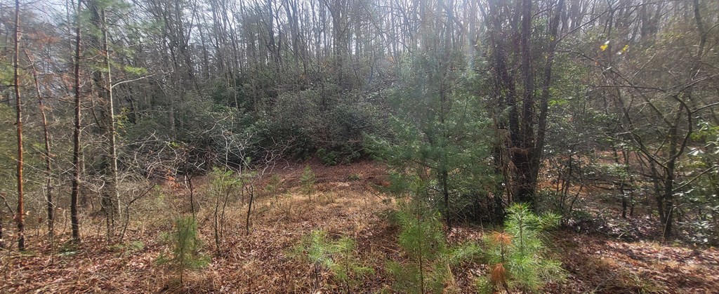 2 Mull Road Morganton, GA 30560 - Photo 28 of 34 Gallery Image 28