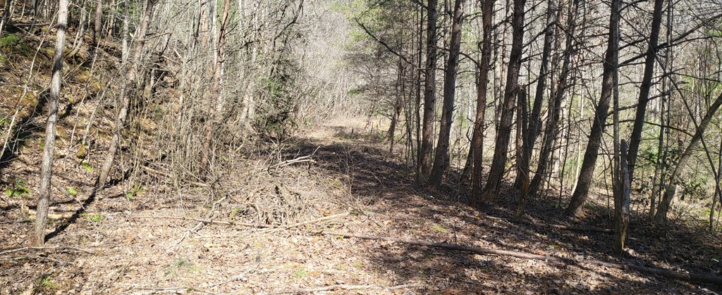2 Mull Road Morganton, GA 30560 - Photo 31 of 34 Gallery Image 31