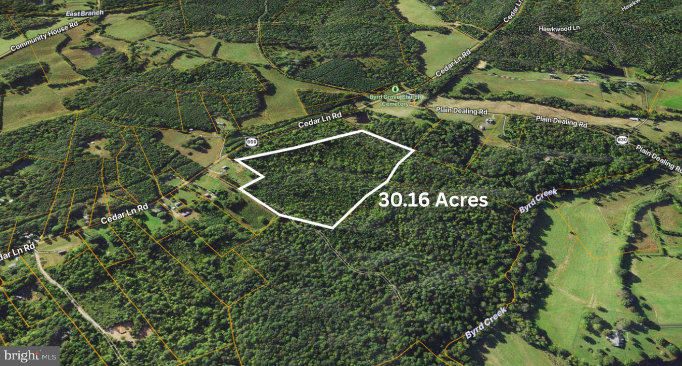 0 Cedar Lane Road Kents Store, VA 23084 - Photo 8 of 16 Gallery Image 8