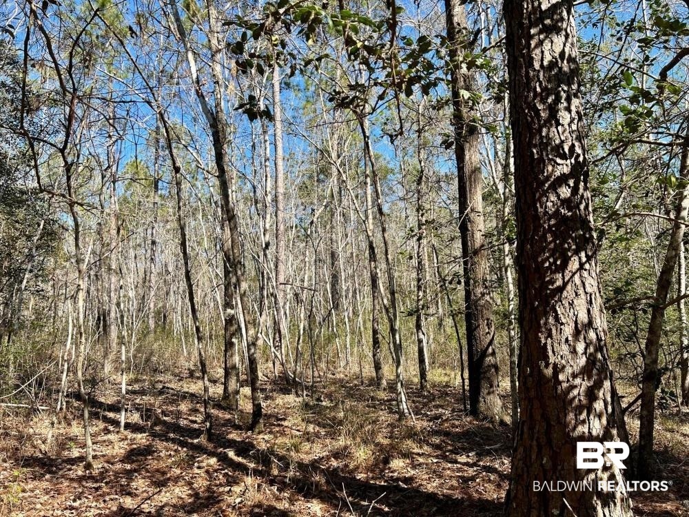 0 Country Road Deer Park, AL 36529 - Photo 16 of 46