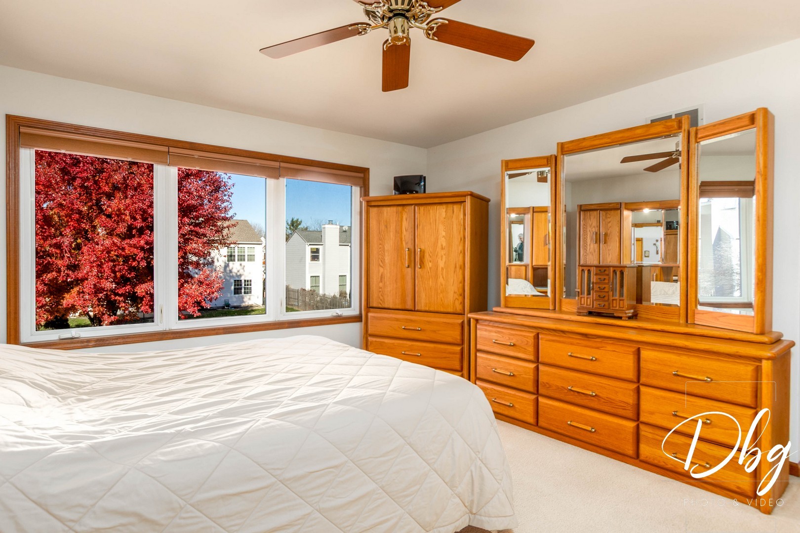 252 Carters Grove Court Grayslake, IL 60030 - Photo 24 of 69 a bedroom with a large bed a chandelier and closet with wooden floor