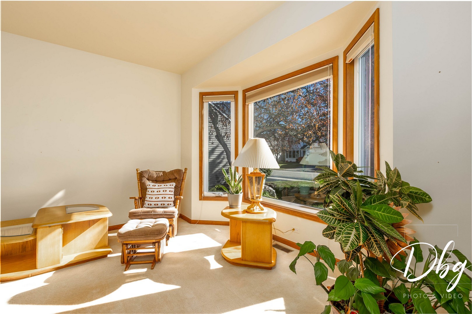 252 Carters Grove Court Grayslake, IL 60030 - Photo 5 of 69 a living room with a couch and a potted plant