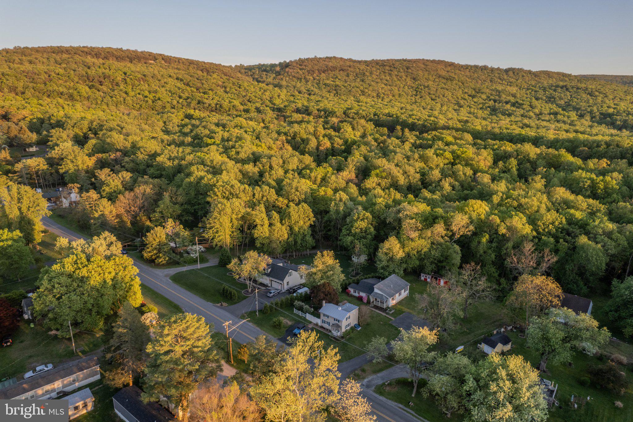 430 Pine Grove Road Bluemont, VA 20135 - Photo 12 of 58 Serene hillside retreat awaits you.
