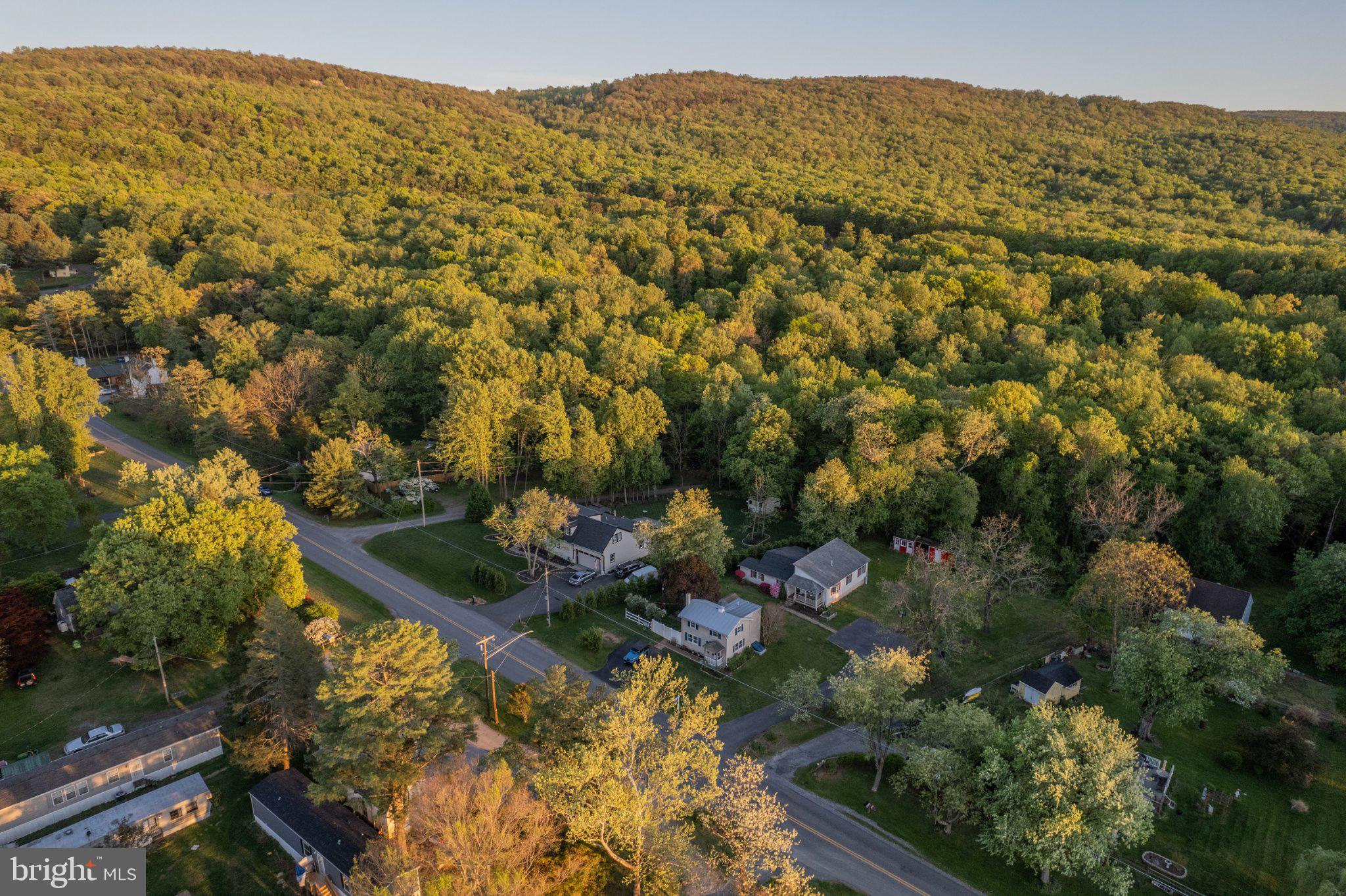 430 Pine Grove Road Bluemont, VA 20135 - Photo 13 of 58 Serene hillside retreat awaits you.