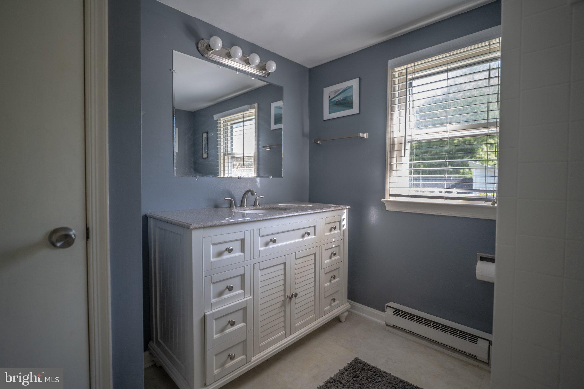 430 Pine Grove Road Bluemont, VA 20135 - Photo 55 of 58 a bathroom with a double vanity sink a mirror and a window