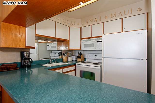 4095 Lower Honoapiilani Road, Unit 106 Lahaina, HI 96761 - Photo 14 of 18 Gallery Image 14