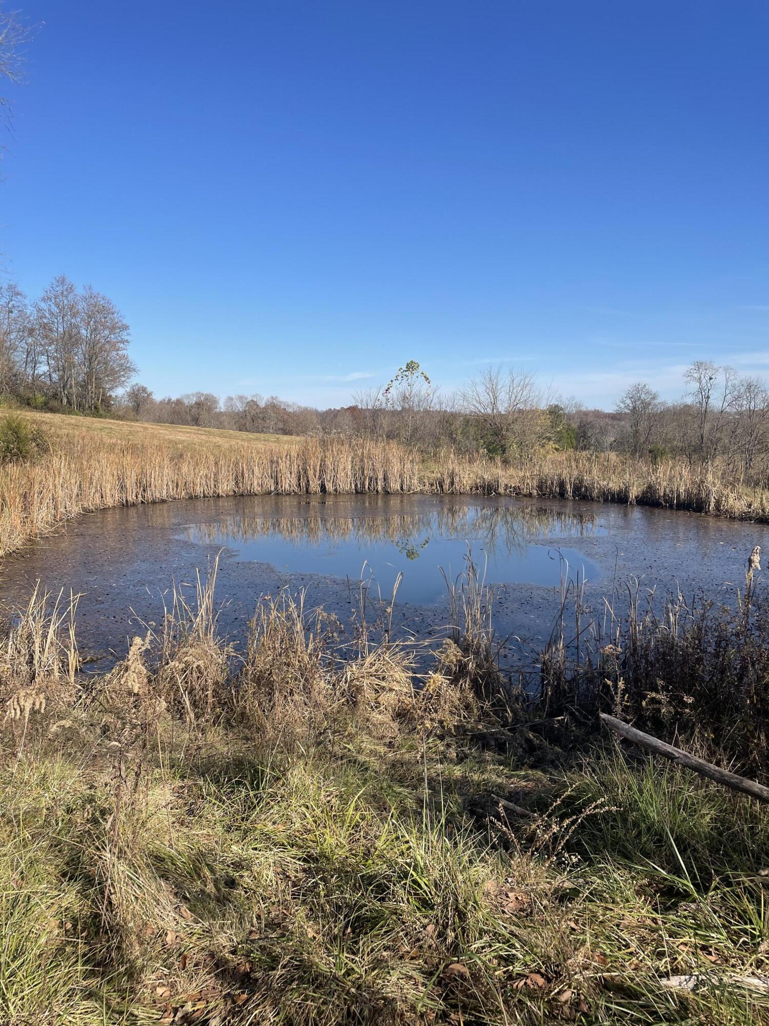 9999 Sugar Grove Road Owingsville, KY 40360 - Photo 13 of 13 B1897DBD-2593-4BFE-B6B9-1AAB0A4A26E7