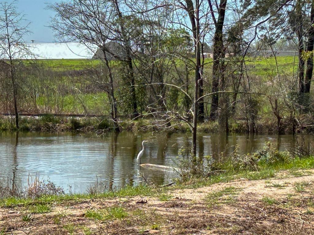 0 Kurth Drive Lufkin, TX 75904 - Photo 2 of 19