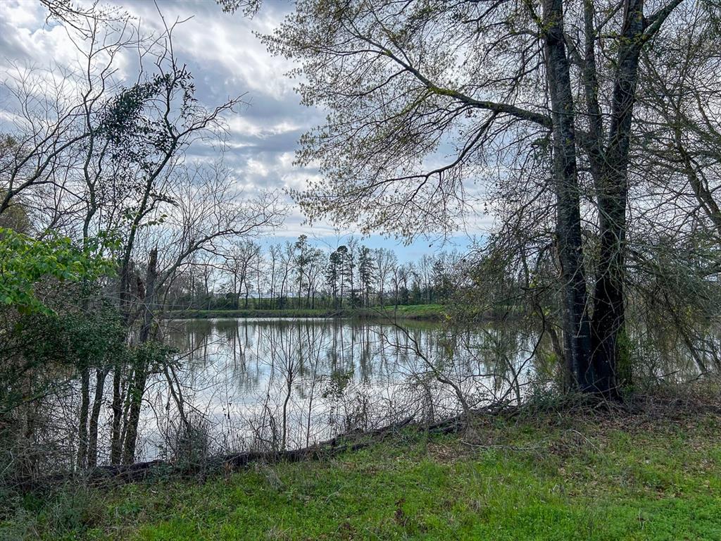 0 Kurth Drive Lufkin, TX 75904 - Photo 4 of 19