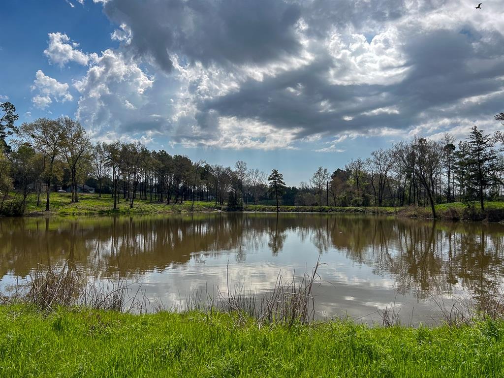 0 Kurth Drive Lufkin, TX 75904 - Photo 5 of 19