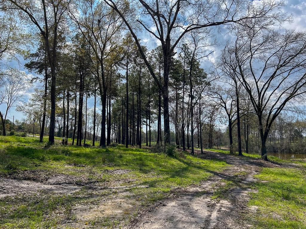 0 Kurth Drive Lufkin, TX 75904 - Photo 7 of 19