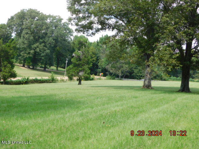 4971 Church Road Nesbit, MS 38651 - Photo 22 of 30 Pasture 1