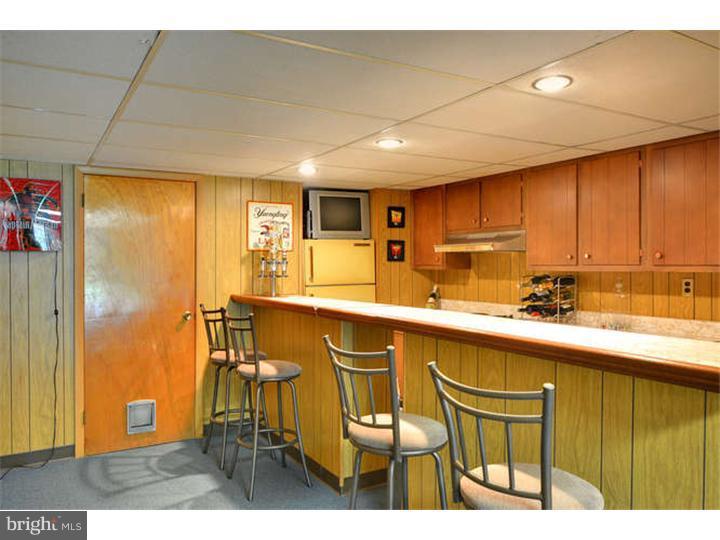 1227 South Rapps Dam Road Phoenixville, PA 19460 - Photo 12 of 20 Basement - Finished